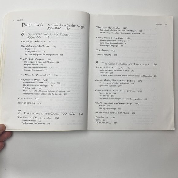 The History of the Muslim World to 1405 by Vernon O. Egger - Picture 5 of 16